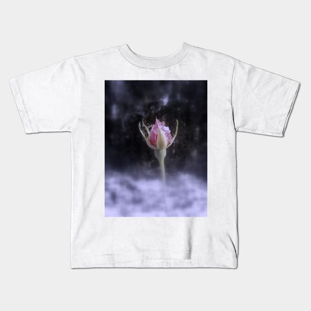 rosebud in the snow 3, tinted Kids T-Shirt by DlmtleArt